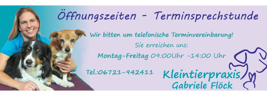 Kleintierpraxis im alten Forstamt