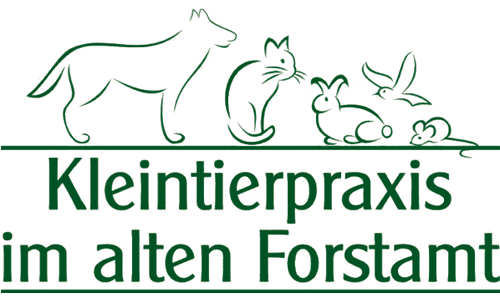Kleintierpraxis im alten Forstamt