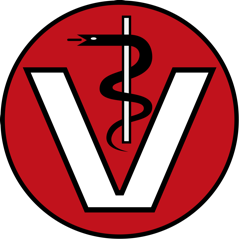 Pferdepraxis Dr. med. vet. Theresa Bockhorni