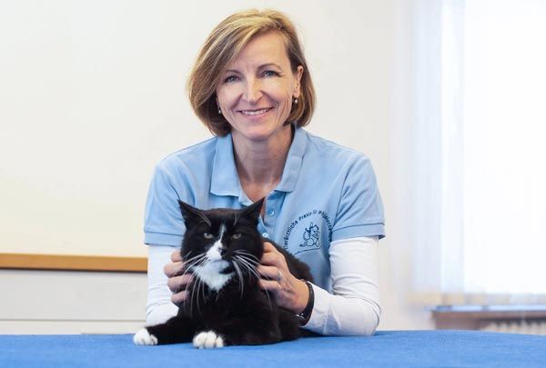 Dr. med. vet. Ulrike Neff Tierärztin, Tierarztpraxis für Physiotherapie
