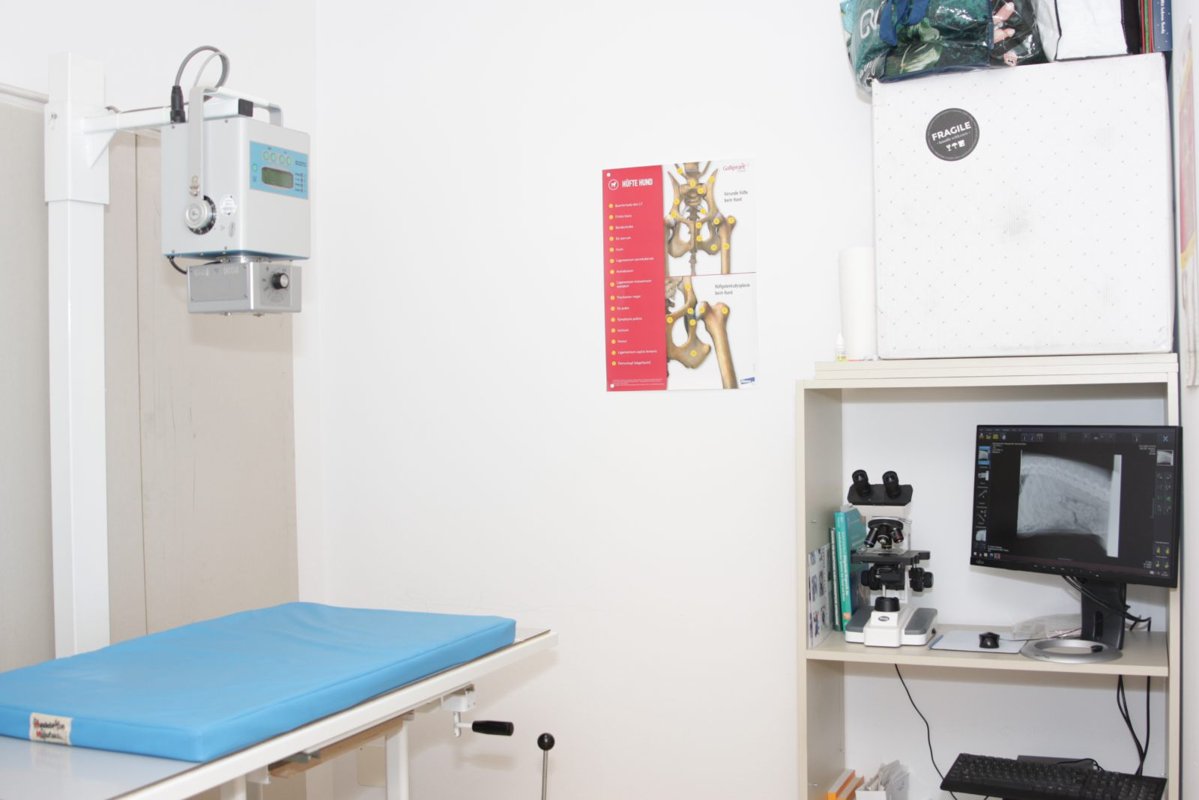 Dr.med.vet. Kerstin Schwarzer Tierärztin