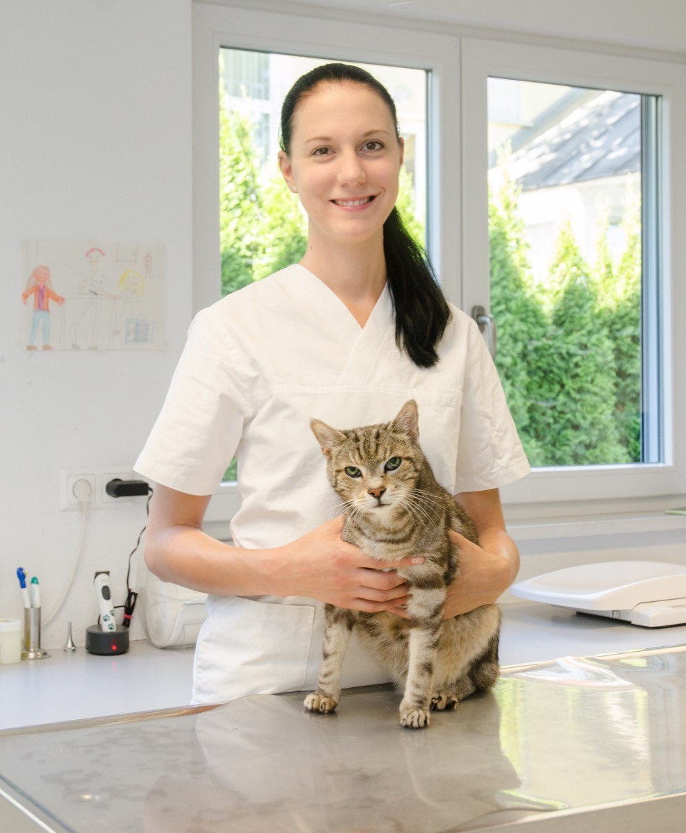 Tierärztliche Gemeinschaftspraxis Dr. Yvonne Sepp und Dr. Regine Volz
