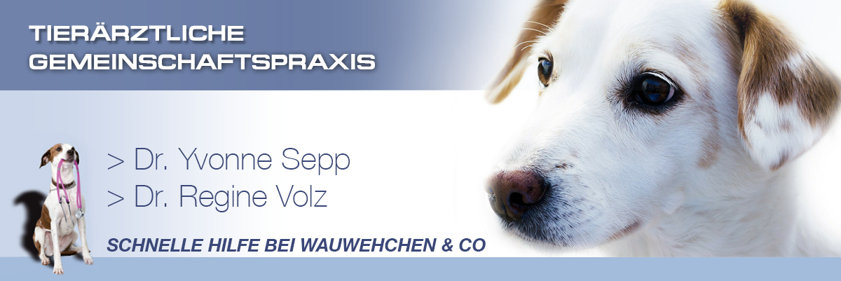 Tierärztliche Gemeinschaftspraxis Dr. Yvonne Sepp und Dr. Regine Volz