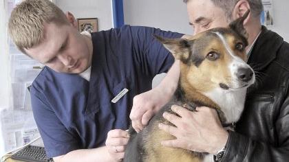 Tierklinik am Nordring