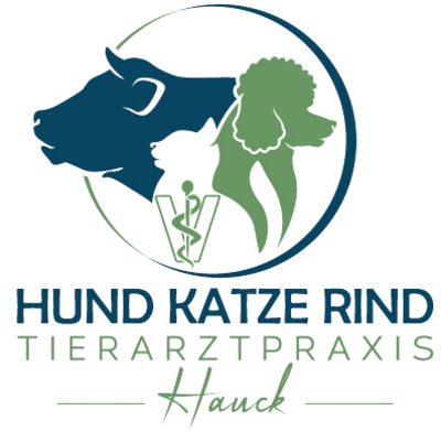 Hund-Katze-Rind - Tierarztpraxis Hauck