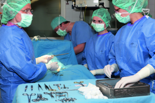 Chirurgische und Gynäkologische Kleintierklinik der LMU