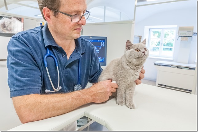 Tierärztliche Gemeinschaftspraxis für Kleintiere - Dr. Astner und Dr. Neumaier