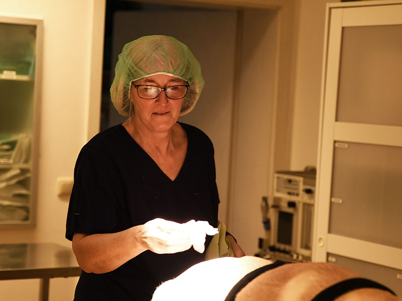 Tierärztliches Gesundheitszentrum Piding, Dr. Gödde & Kollegen