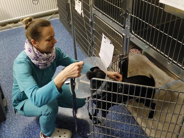 Tierklinik am Nordring