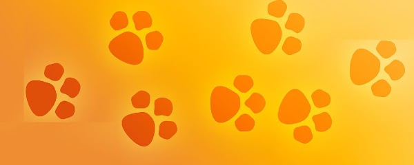 Tierärztliche Fachpraxis Dr.med.vet. Bernd Lukas