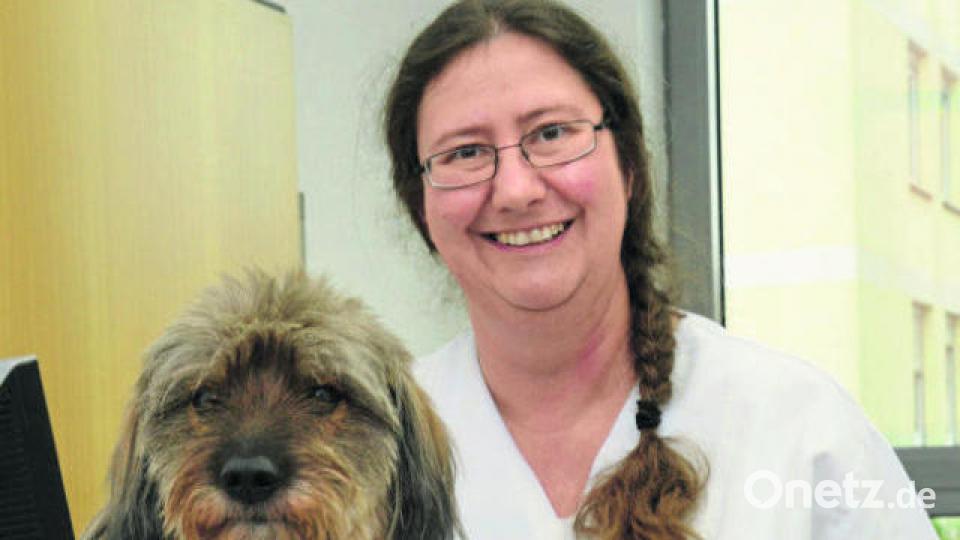 Tierarztpraxis für Kleintiere Dr. med. vet Eduard Krinninger