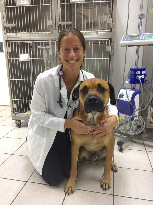 Dr. med. vet. Andrea Restle