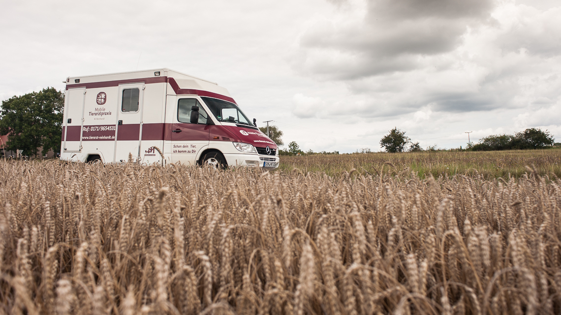 Mobile Tierarztpraxis Stein | Kleintier-Mobil | Tierarzt