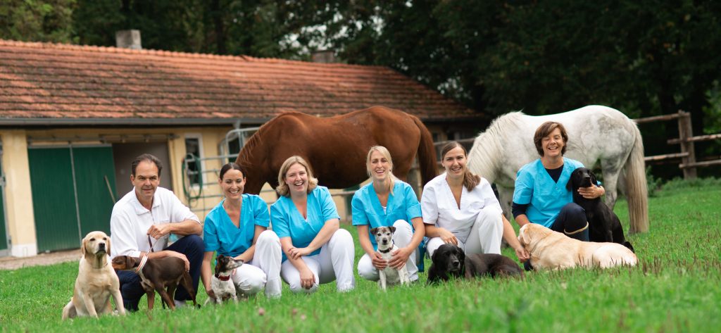 Ilztal Vet Tierärztliche Praxis für Groß und Kleintiere
