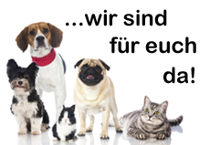 Dr.med.vet. Sabine Sinowatz Tierärztin