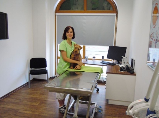 Tierärztliche Spezialpraxis für Augenheilkunde - Dr. Anja Engelhardt