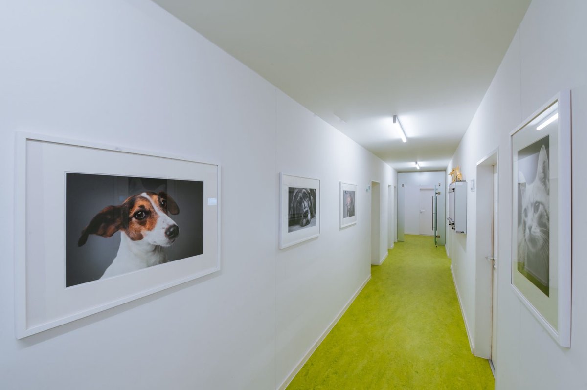 Tierärzte IVC Evidensia GmbH Tierärztezentrum Landshut