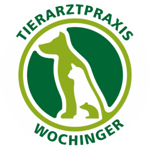 Kleintierpraxis Eva Wochinger