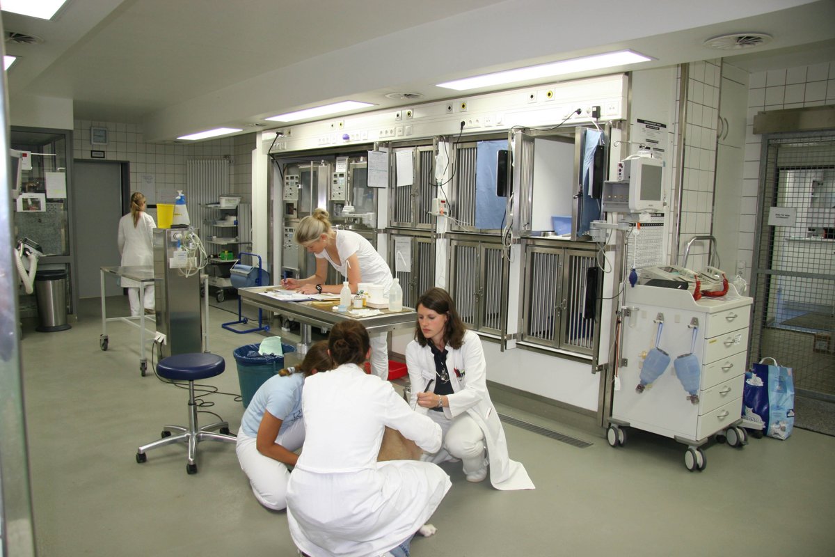 Medizinische Kleintierklinik der LMU München