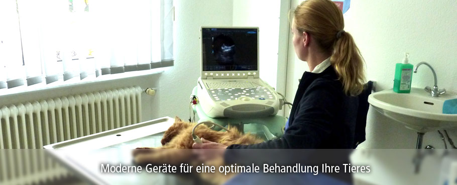 Tierärzte Würmtal - Dr. Lauda & Kollegen - Filiale Neuried