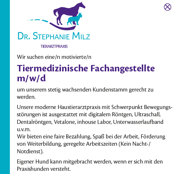 Ganzheitliche Tierarztpraxis Dr. Stephanie Kirchhartz