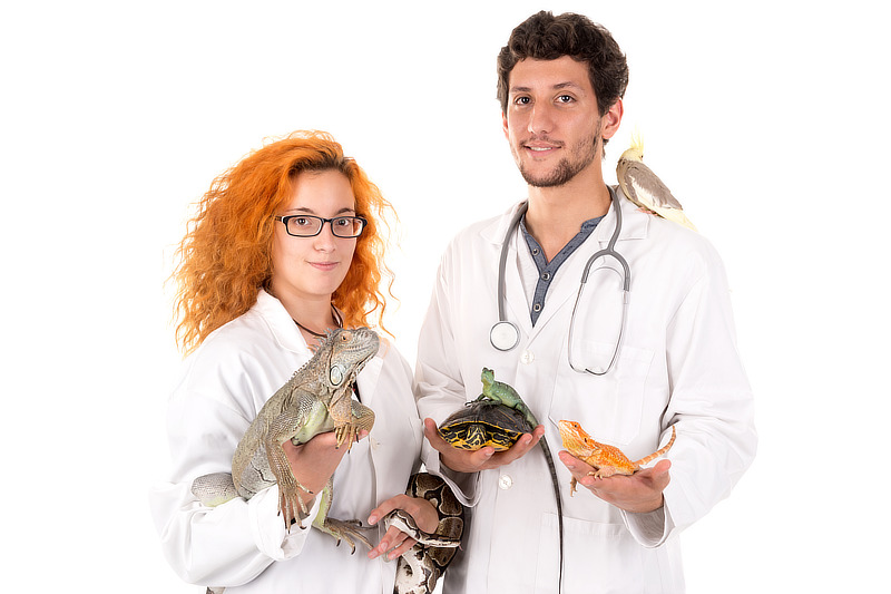Tierarztpraxis für Kleintiere und Reptilien