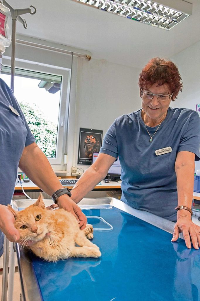 Dr.med.vet. Susanne Deininger Tierärztliche Praxis für Kleintiere