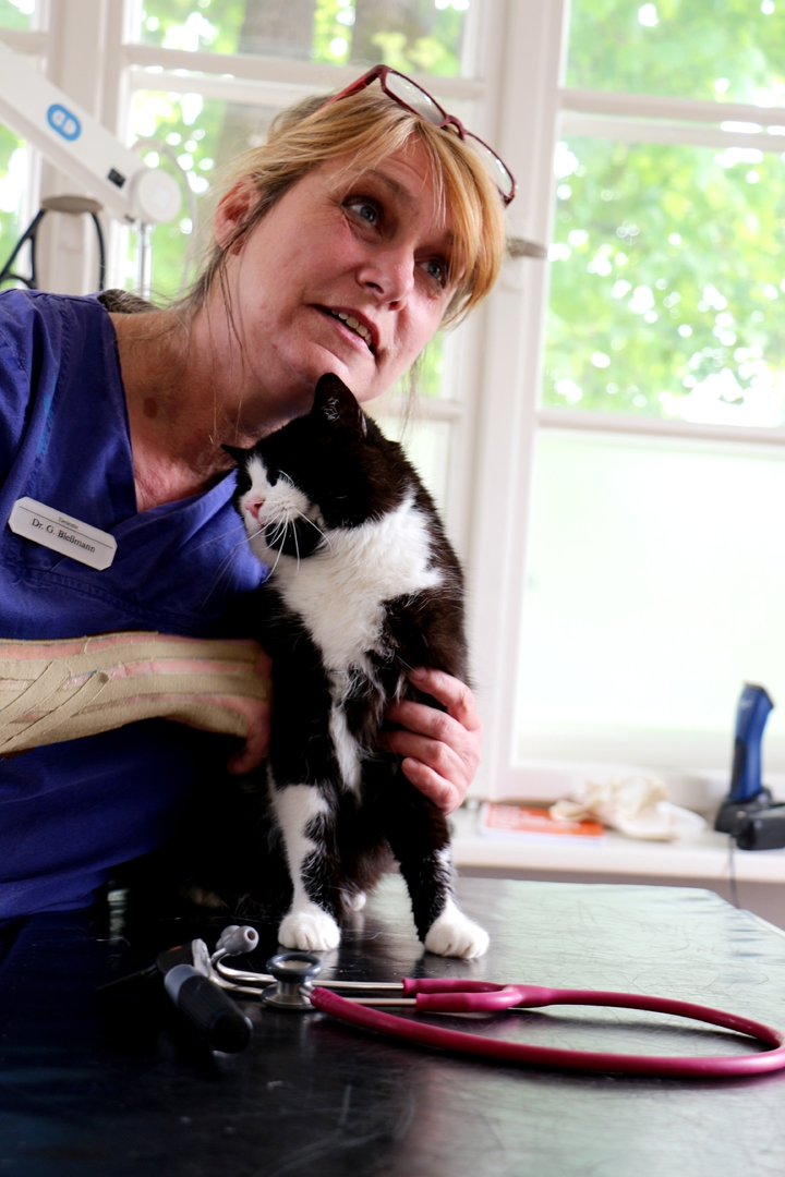 Dr.med.vet. Gabriela Bleßmann, ganzheitliche Tierarztpraxis