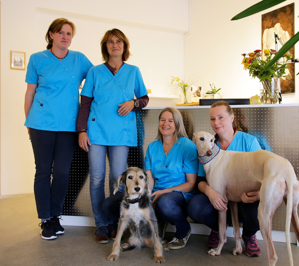 Dr.med.vet. Inga Bräuning Tierärztin