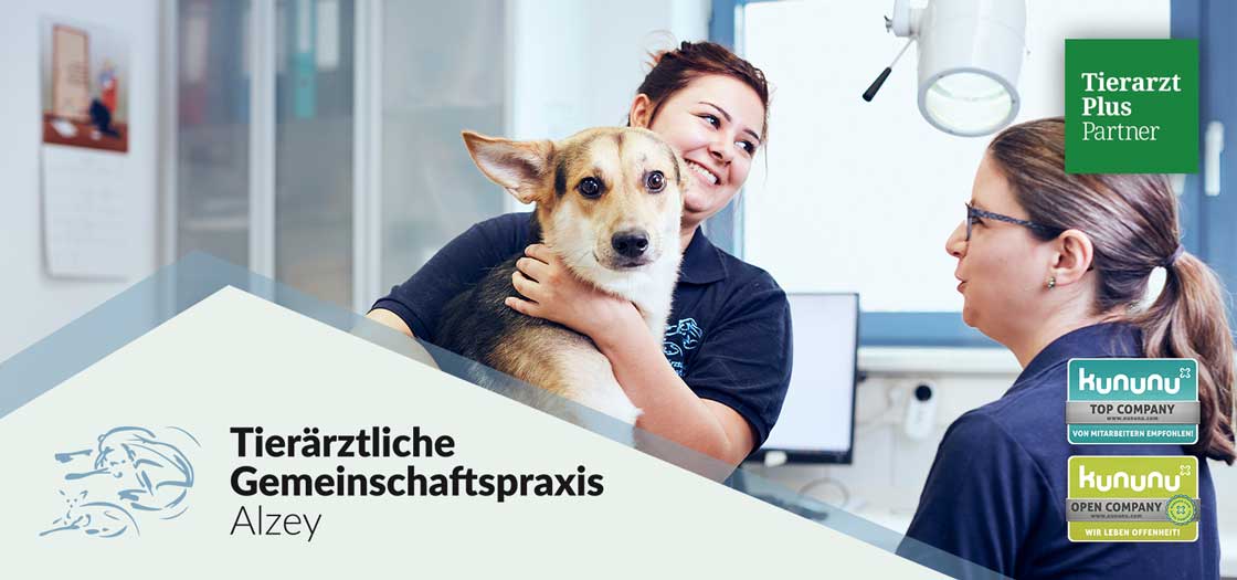 Tierärztliche Gemeinschaftspraxis