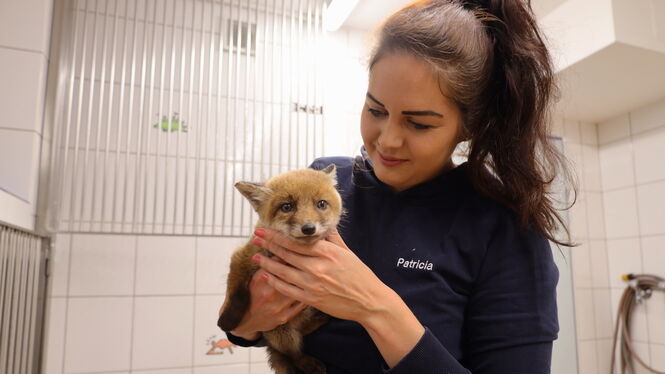 Tierklinik Blaichach