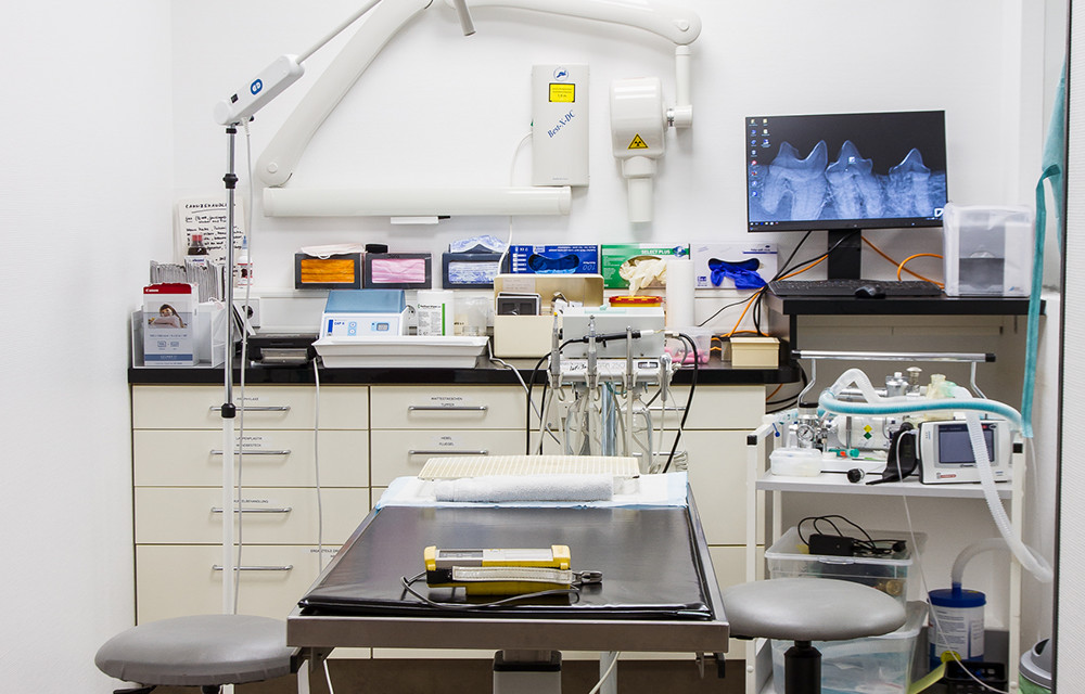 AniCura Kleintierklinik Babenhausen GmbH | 24h Notdienst