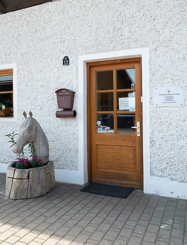 Tierärztliche Klinik für Pferde Wolfesing