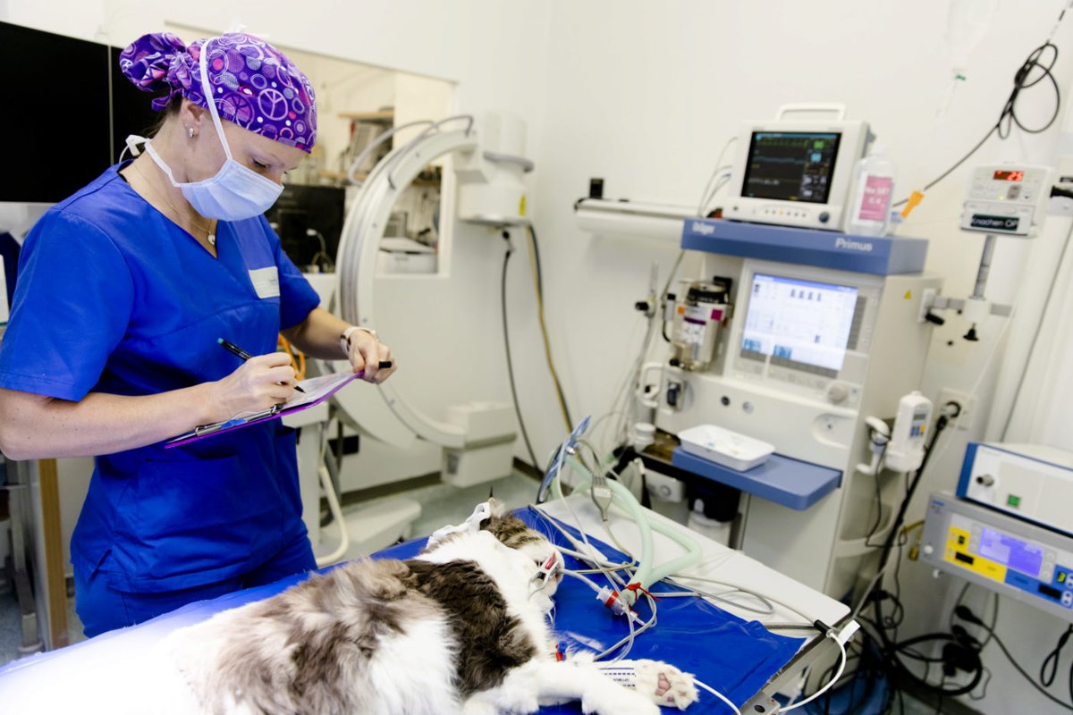 Tierklinik Oberhaching