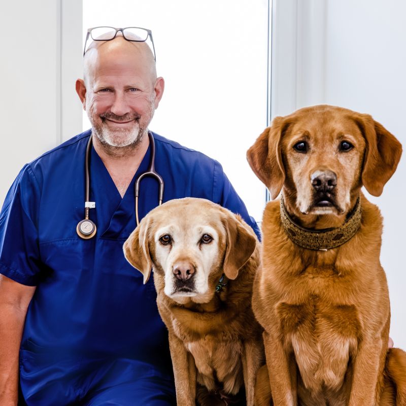 Tierklinik Oberhaching