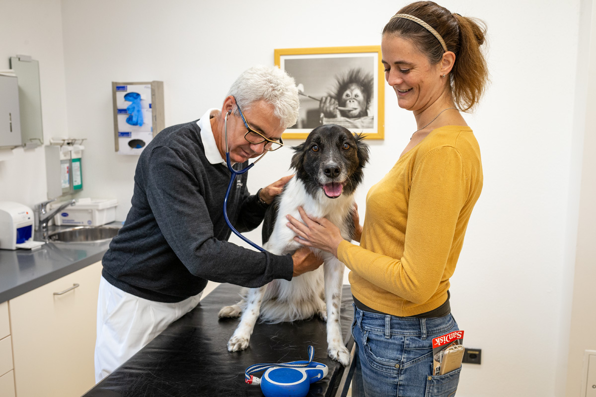 Tierklinik Oberhaching