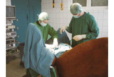 Dr.med.vet. Wolfgang Schill Tierärztliche Klinik