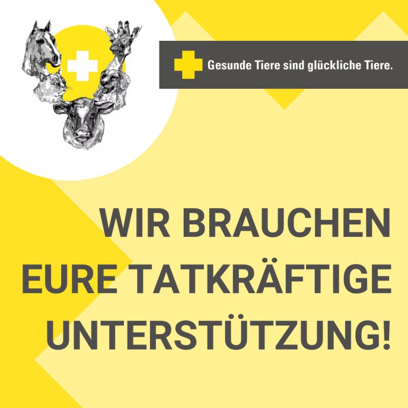 Tierärztliche Klinik Gessertshausen Altano GmbH
