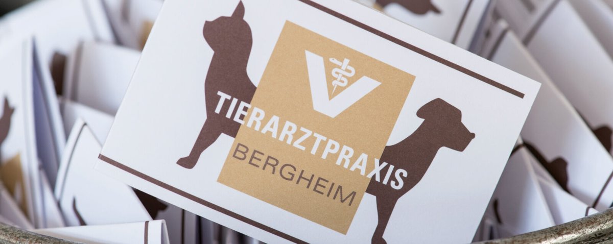 Tierarztpraxis Bergheim