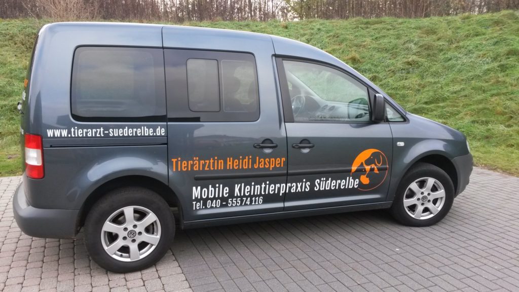 Mobile Tierarztpraxis Stein | Kleintier-Mobil | Tierarzt
