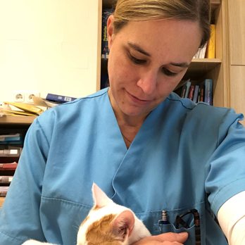 Dr.med.vet. Christiane Rester Tierärztin