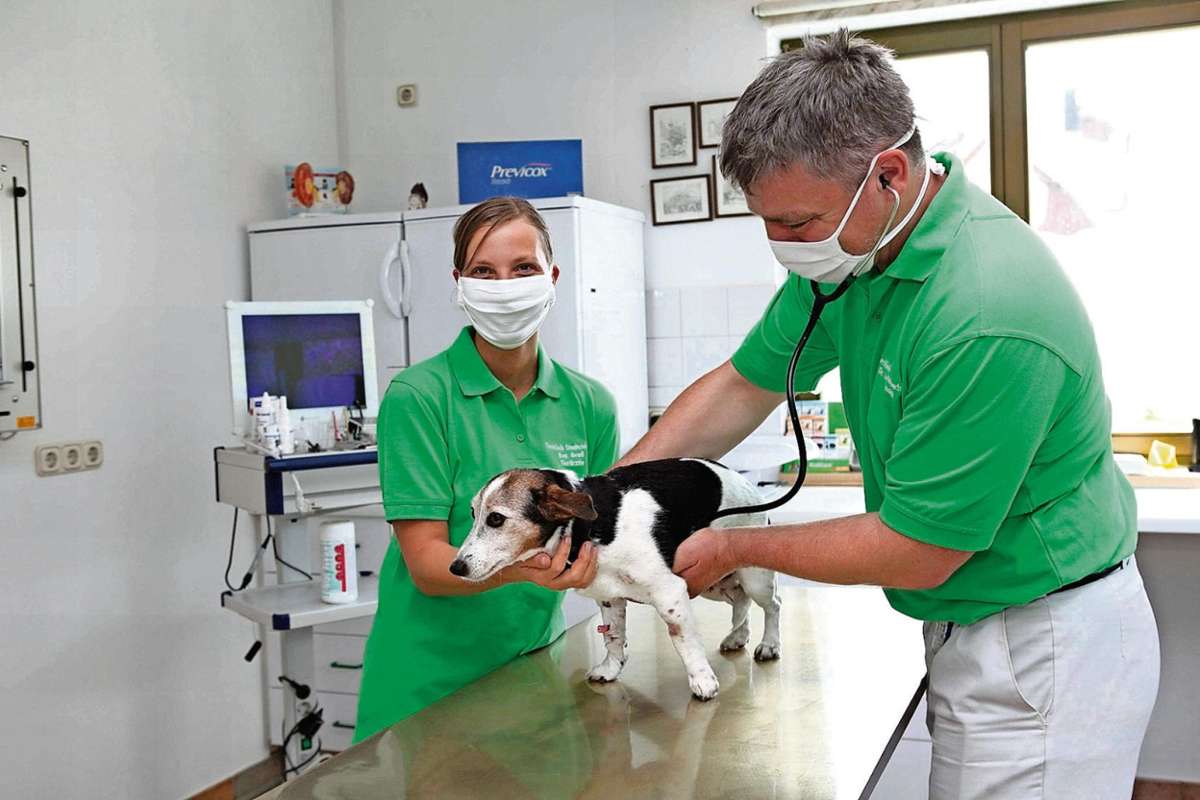 Tierärzte Würmtal - Dr. Lauda und Kollegen