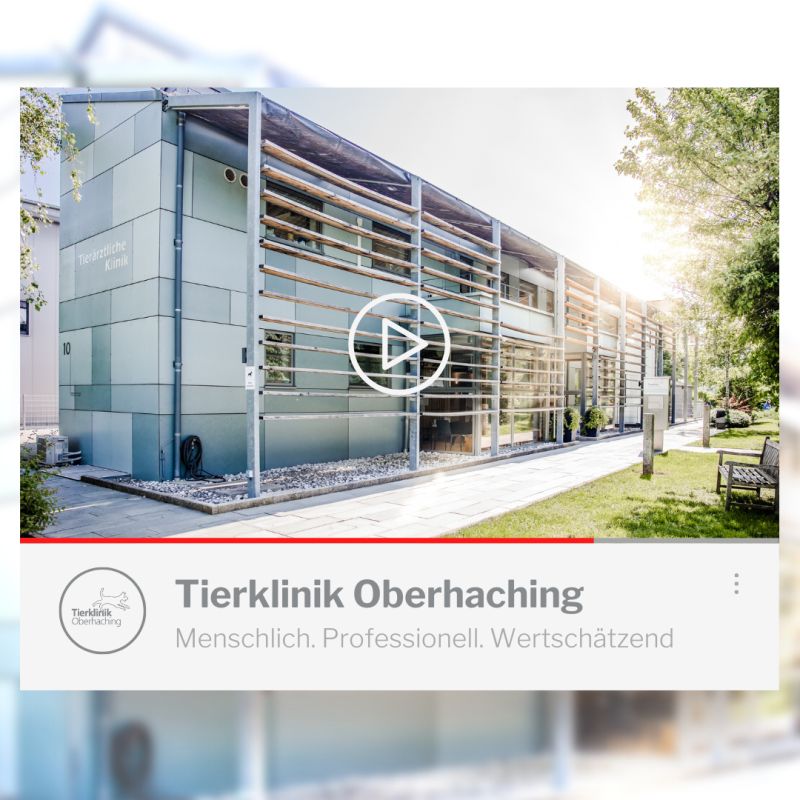 Tierklinik Oberhaching