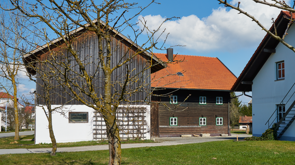 Tierärztliche Klinik Kurzeichet