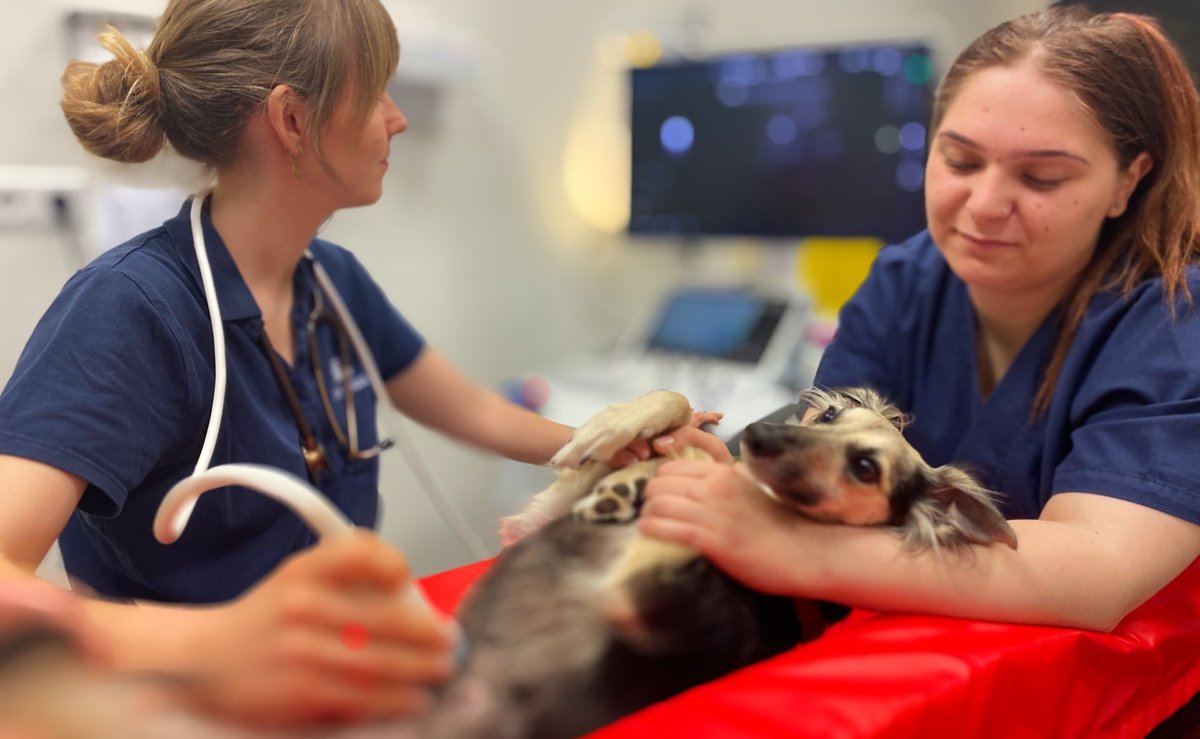 AniCura Tierklinik Haar