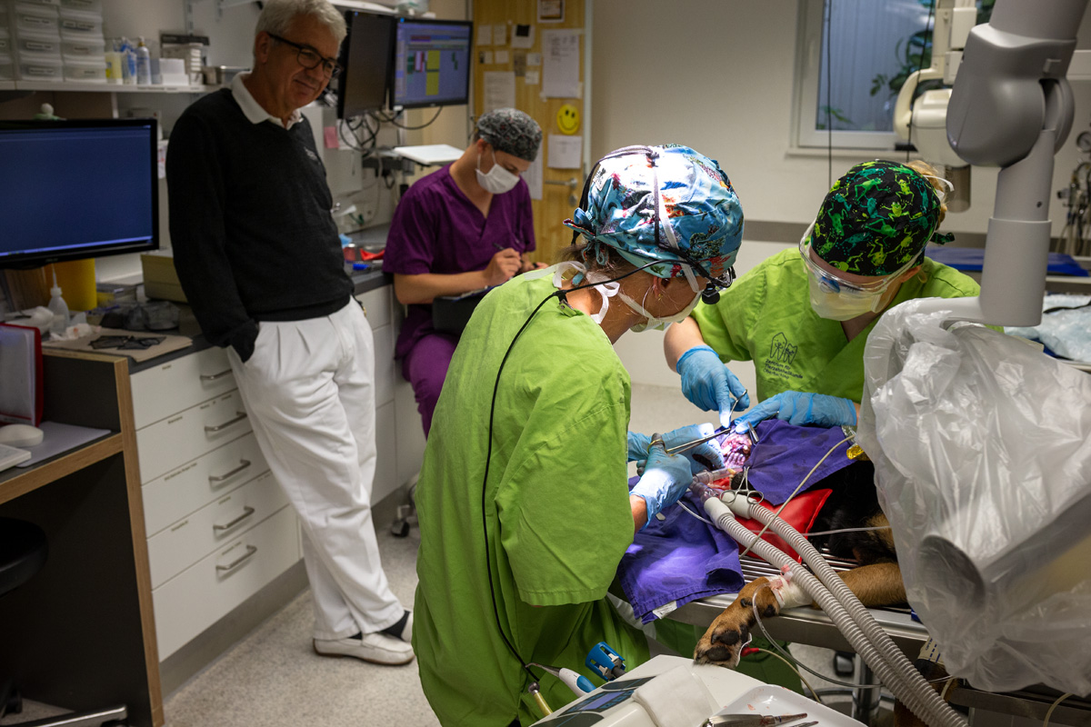 Tierklinik Oberhaching