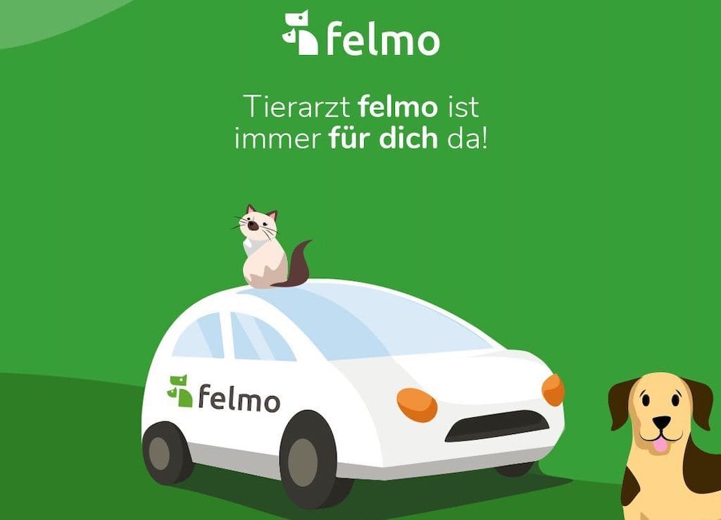 felmo Mobiler Tierarzt München