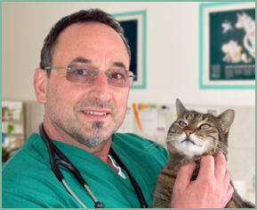 Dr. med. vet. Maximilian Geisenberger