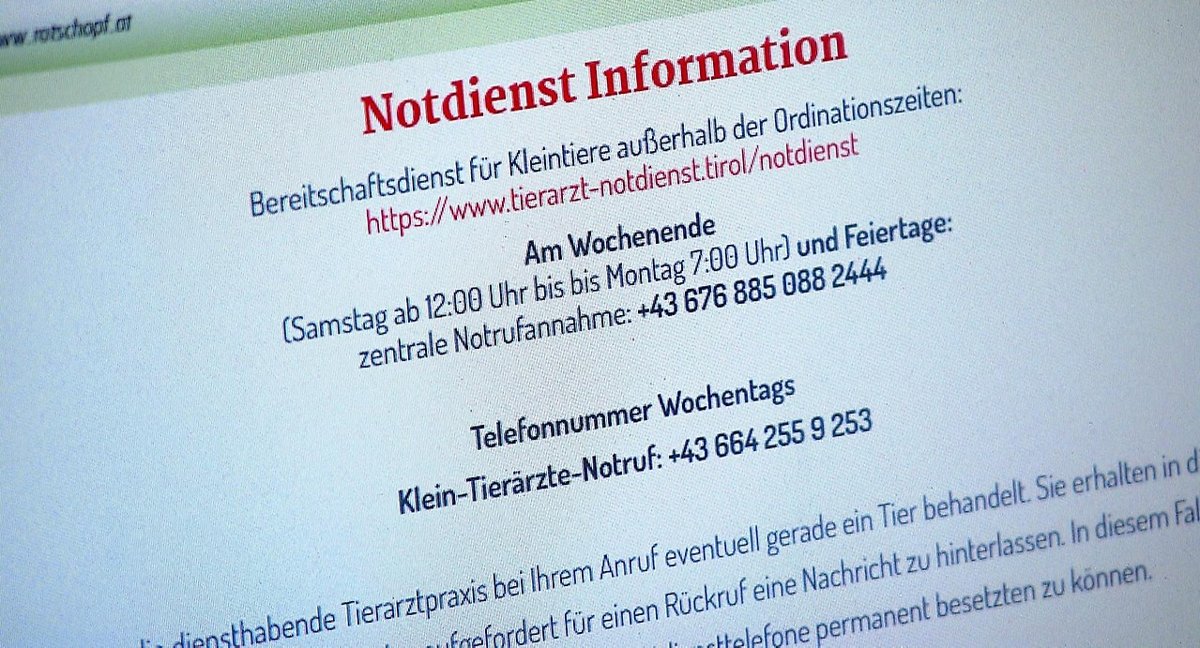 Notdienstpraxis - Kleintiere