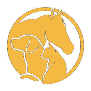Tierärztin Dr. Sandra Geiger - Tierphysio
